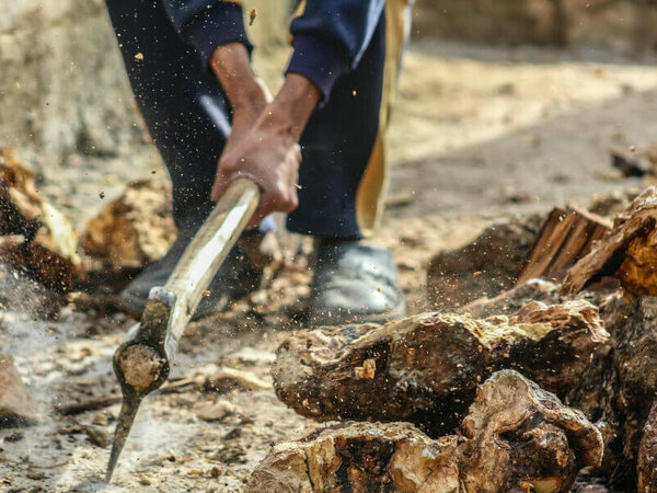 Намериха шест кубика дърва за огрев без документи