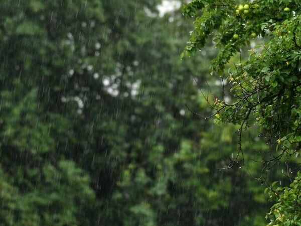 И днес е обявен жълт код, но за интензивни валежи