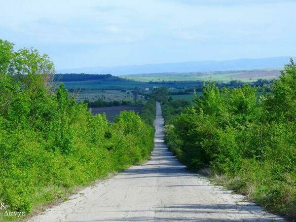 До 30 градуса и предимно слънчево време днес в Разградско