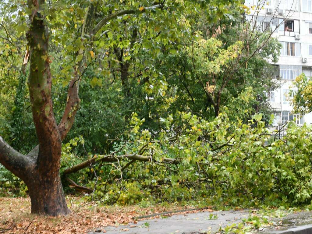 Жълт код за обилни валежи в област Разград