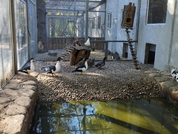 Няма нарушения в разградския зоокът