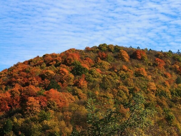 Оранжев код за силен вятър