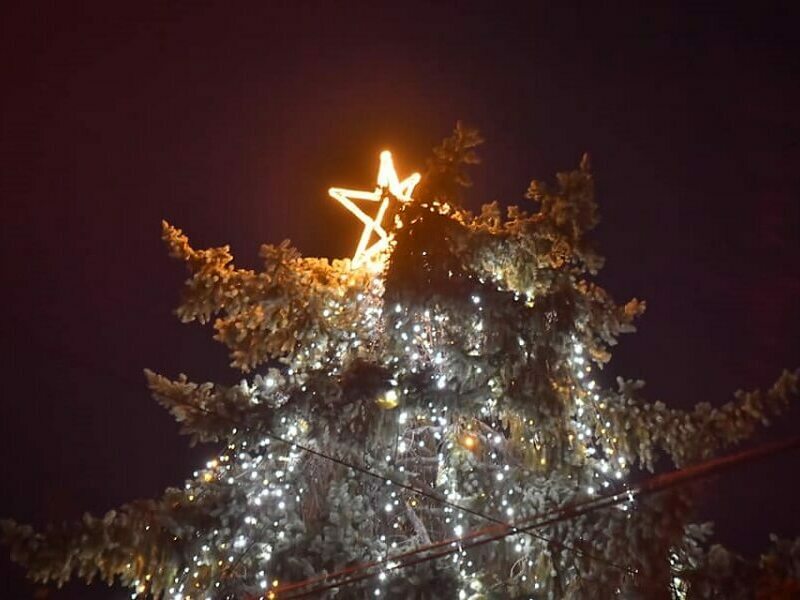 Коледното настроение завладя Кубрат