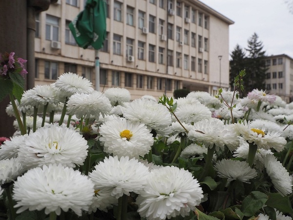 Валежите спират утре, преди това се очакват значителни количества 