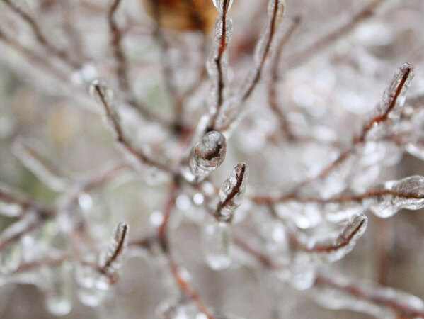 Застудяването продължава
