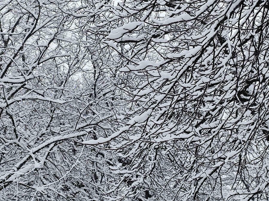 Тридневна ваканция в Лозница