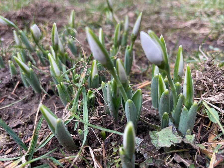 Времето през март: от минус 7° до 27 °
