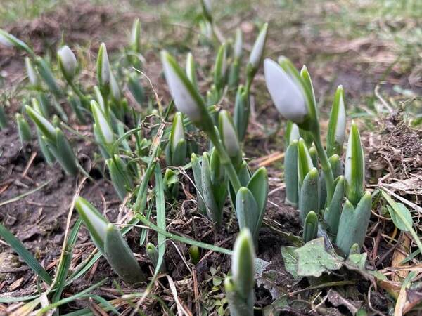 Времето през март: от минус 7° до 27 °