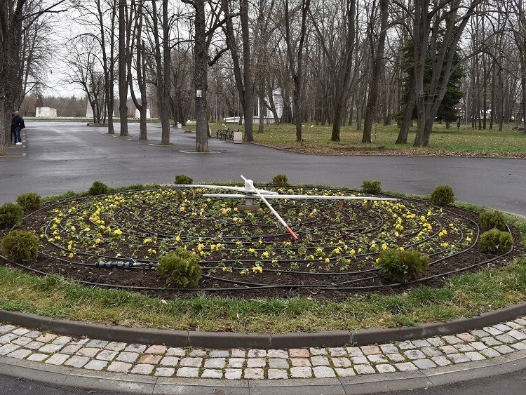 Нови цветя и дървета в парка в Разград