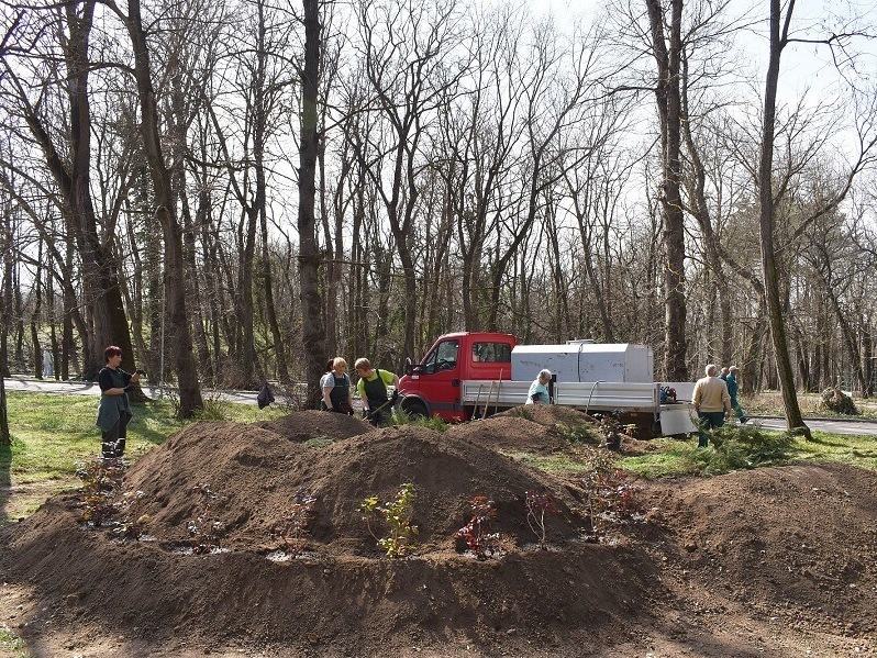 Алпинеум в парка