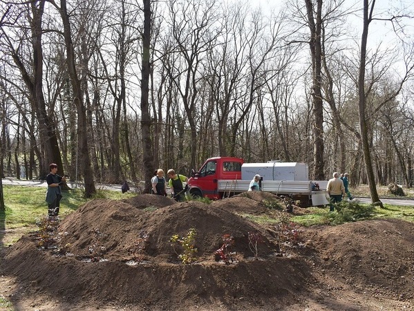 На работа по проекта „Младежки практики“