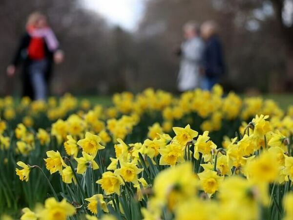 Астрономическата пролет идва с температури до 10°
