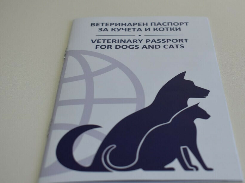 Гратисен период за деклариране на домашни кучета