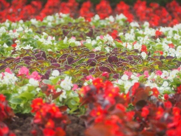 Температури до 33° в края на април