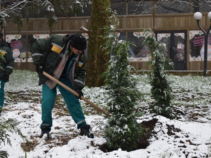 Лейланди ще красят Разград