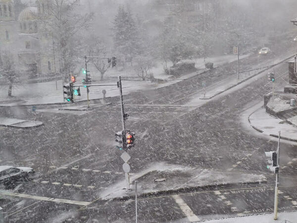 Априлска снежна буря в Лудогорието