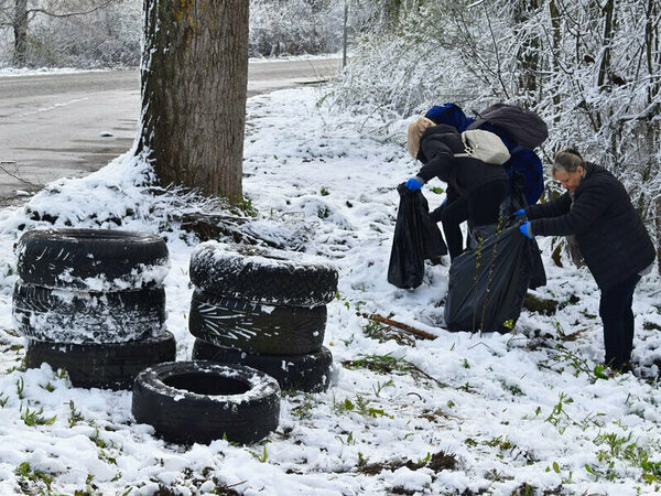 Почистиха гората до разклона за Балкански