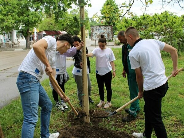 120 души засадиха нови дръвчета в Разград