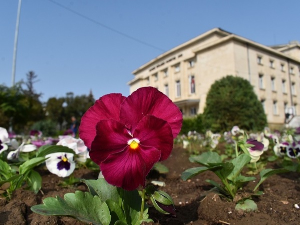 Набират проекти по програма „Култура“