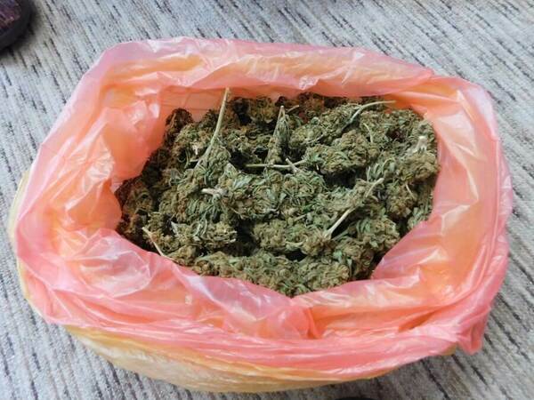 Откриха 670 г канабис в имоти на разградчанин