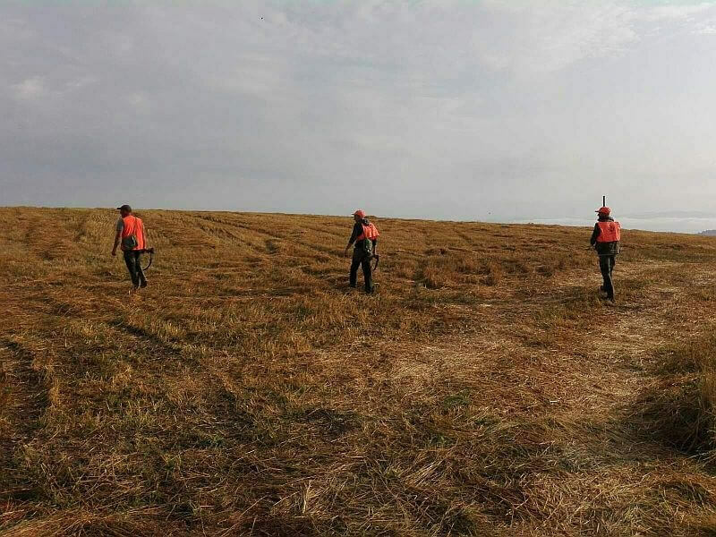 Открива се ловът на пернат дивеч