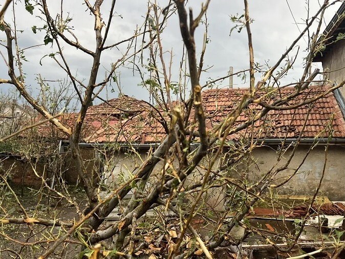 Паднали дървета и едно село без ток