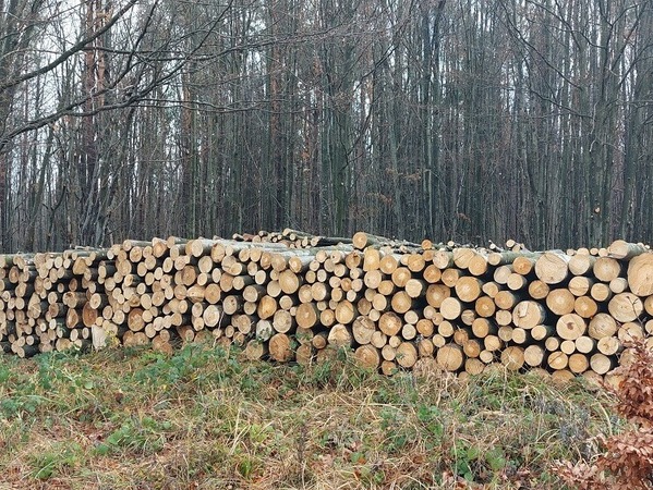 Намалява интересът към отоплението на дърва
