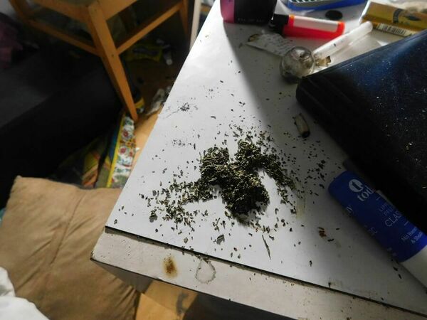 Заловиха деветима с дрога