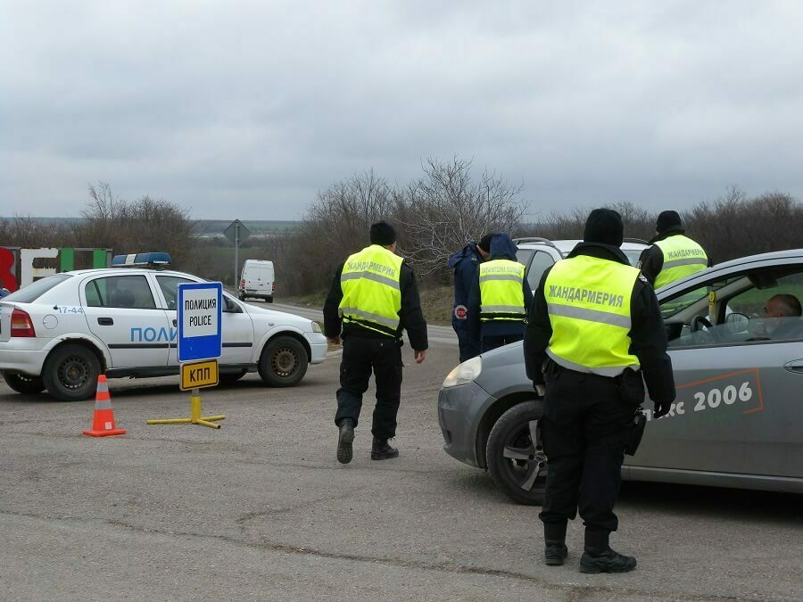 Незаконна сеч край с. Дряновец