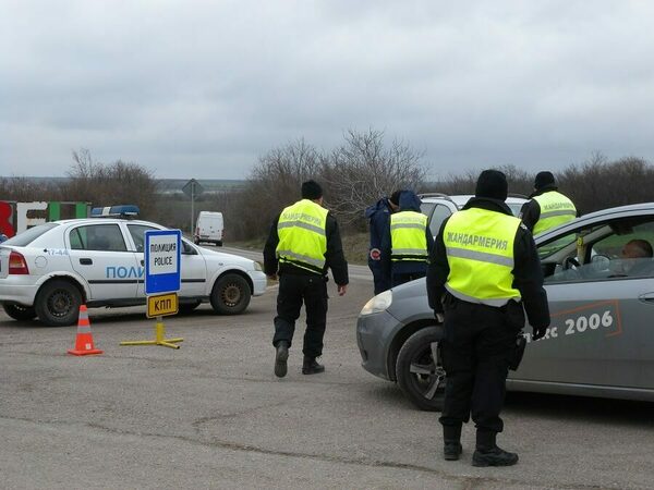 Незаконна сеч край с. Дряновец